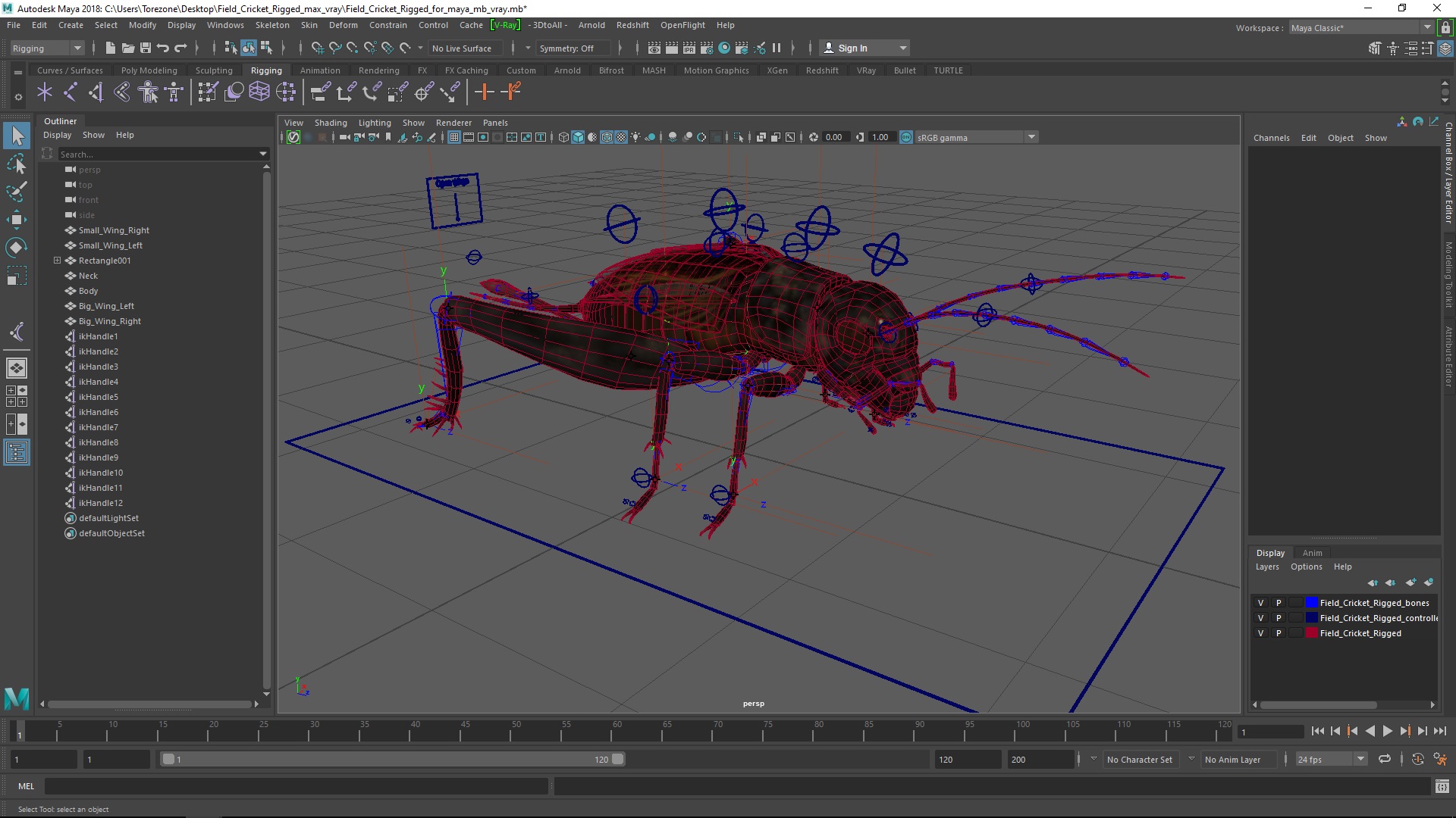 Field Cricket Rigged for Maya 3D model