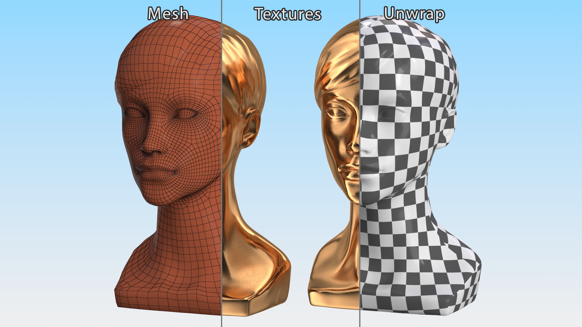 Golden Woman Mannequin Head with Hair 3D