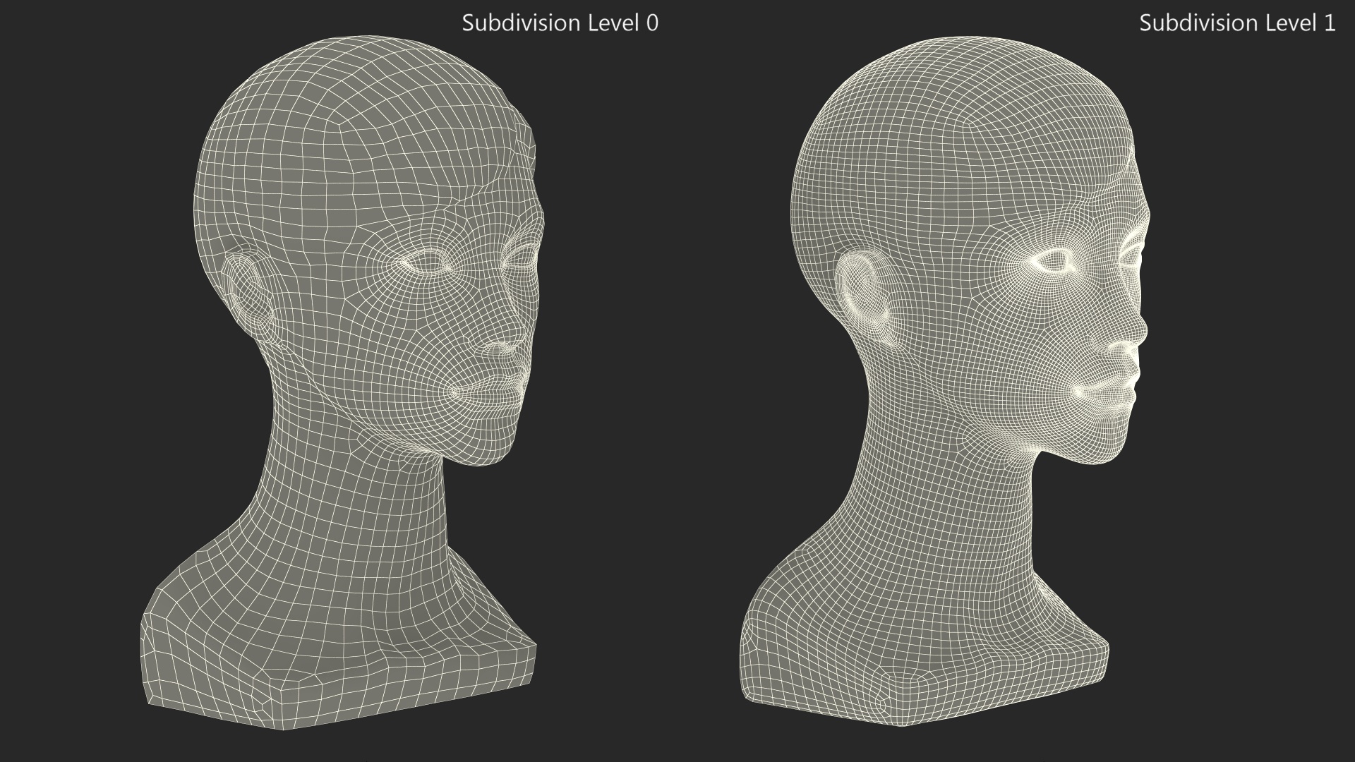 Golden Woman Mannequin Head with Hair 3D