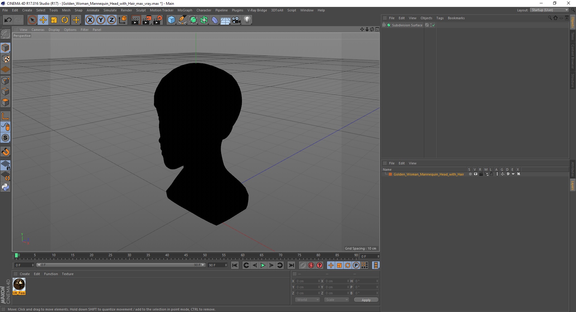 Golden Woman Mannequin Head with Hair 3D
