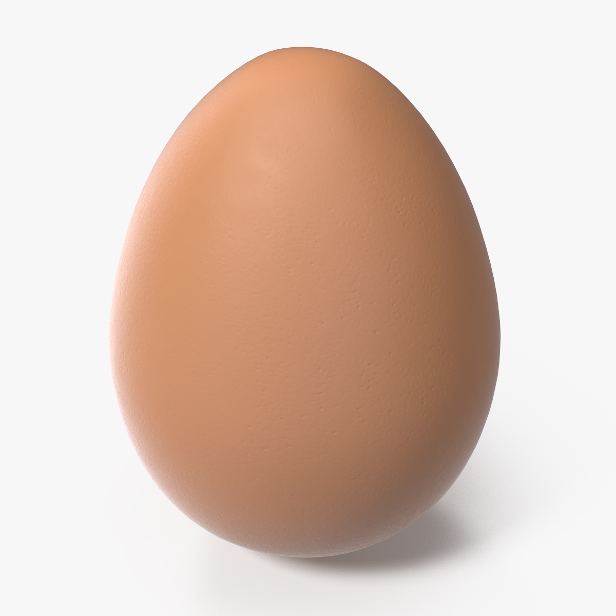 Brown Chicken Egg, view 5