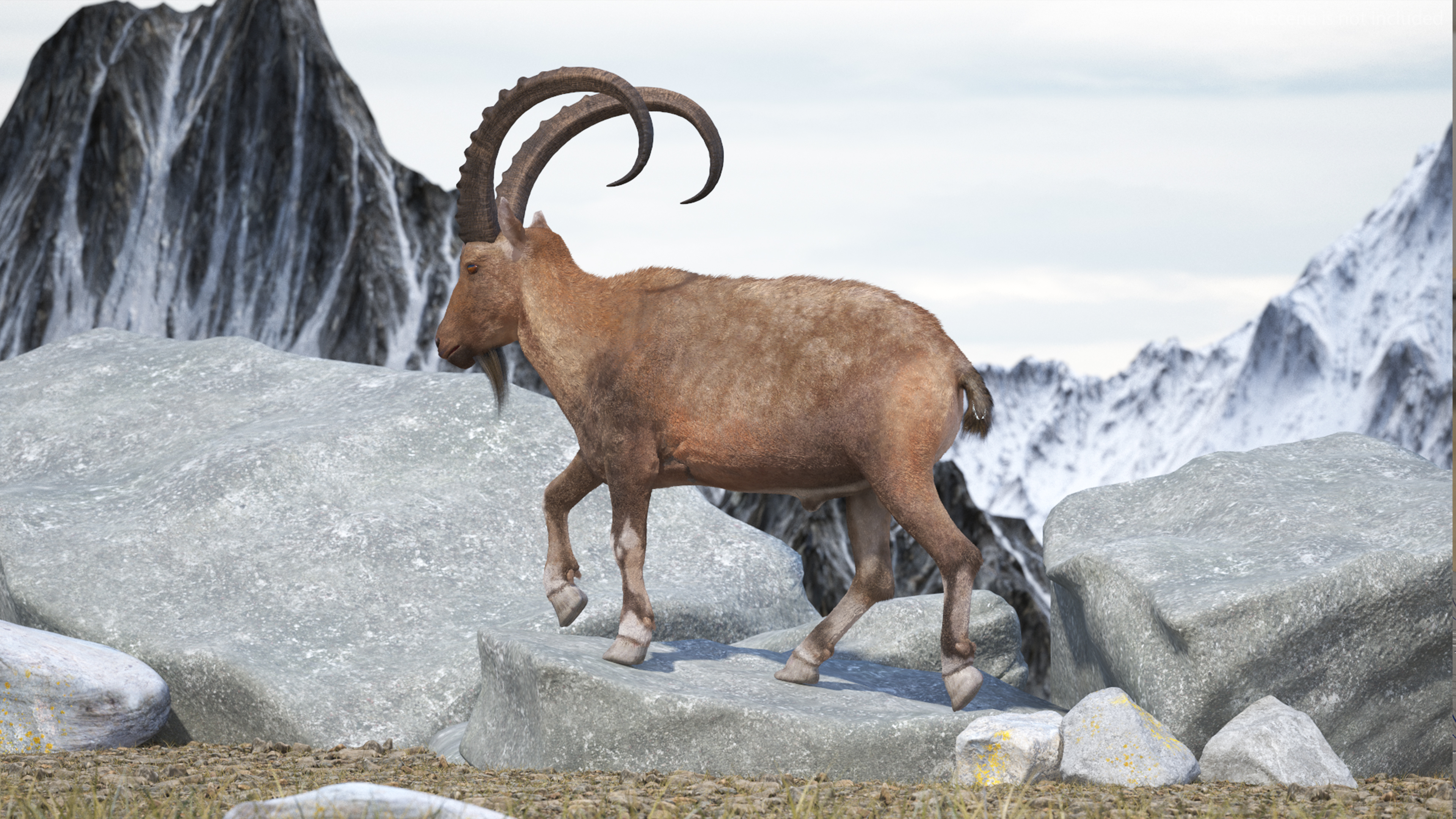 3D Alpine Ibex in Walking Pose Fur