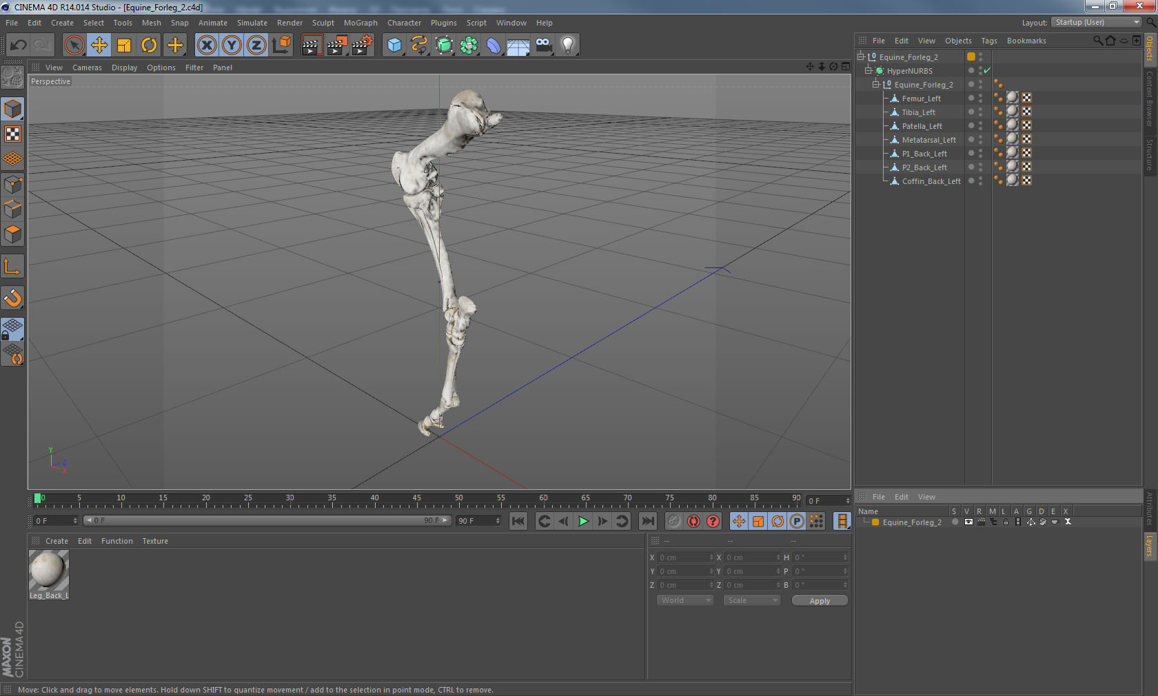 Horse Front Leg 2 3D