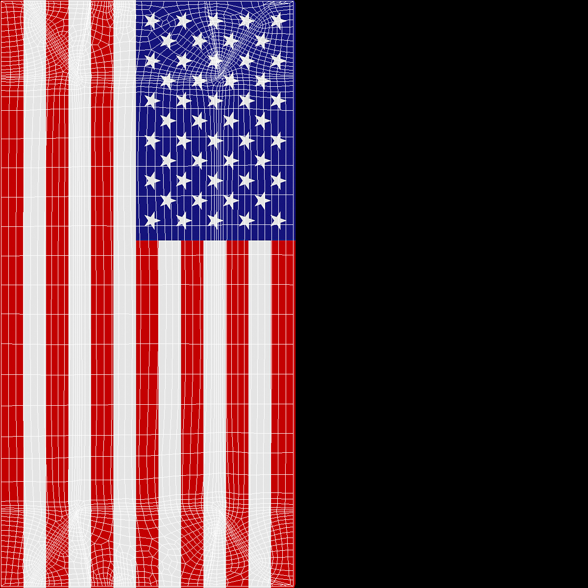 3D Flag Draped US Army Casket