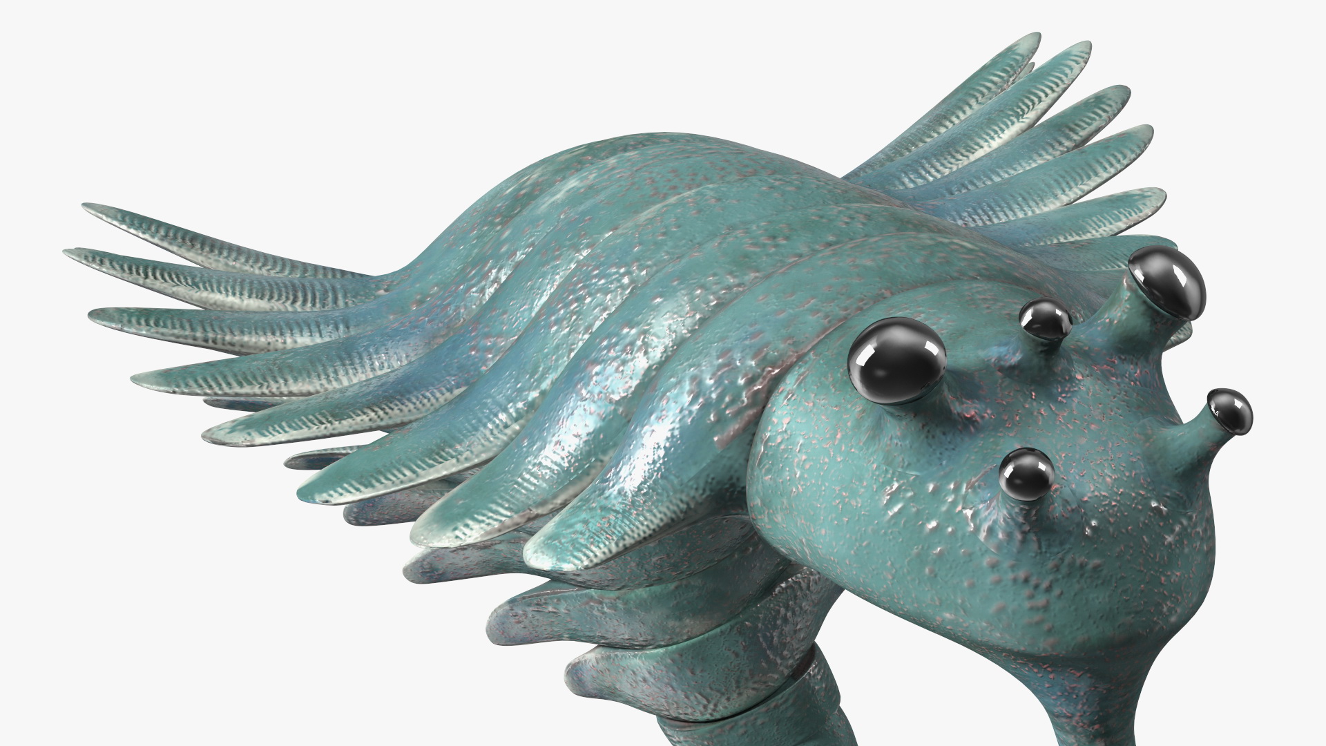 Green Opabinia Flip 3D model