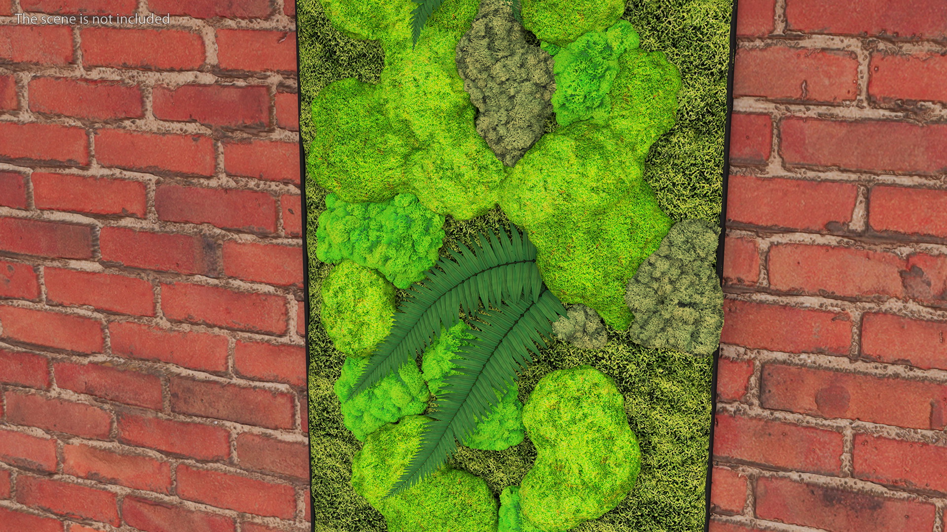 Green Moss Wall with Preserved Plants 3D