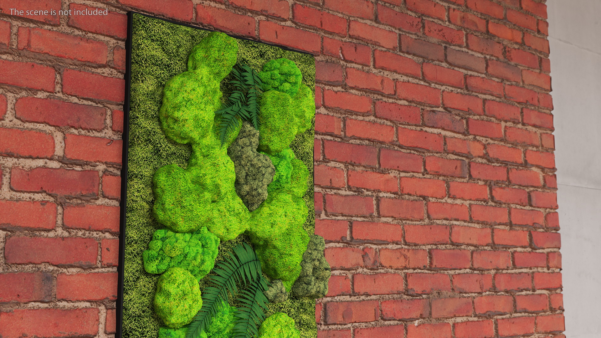 Green Moss Wall with Preserved Plants 3D
