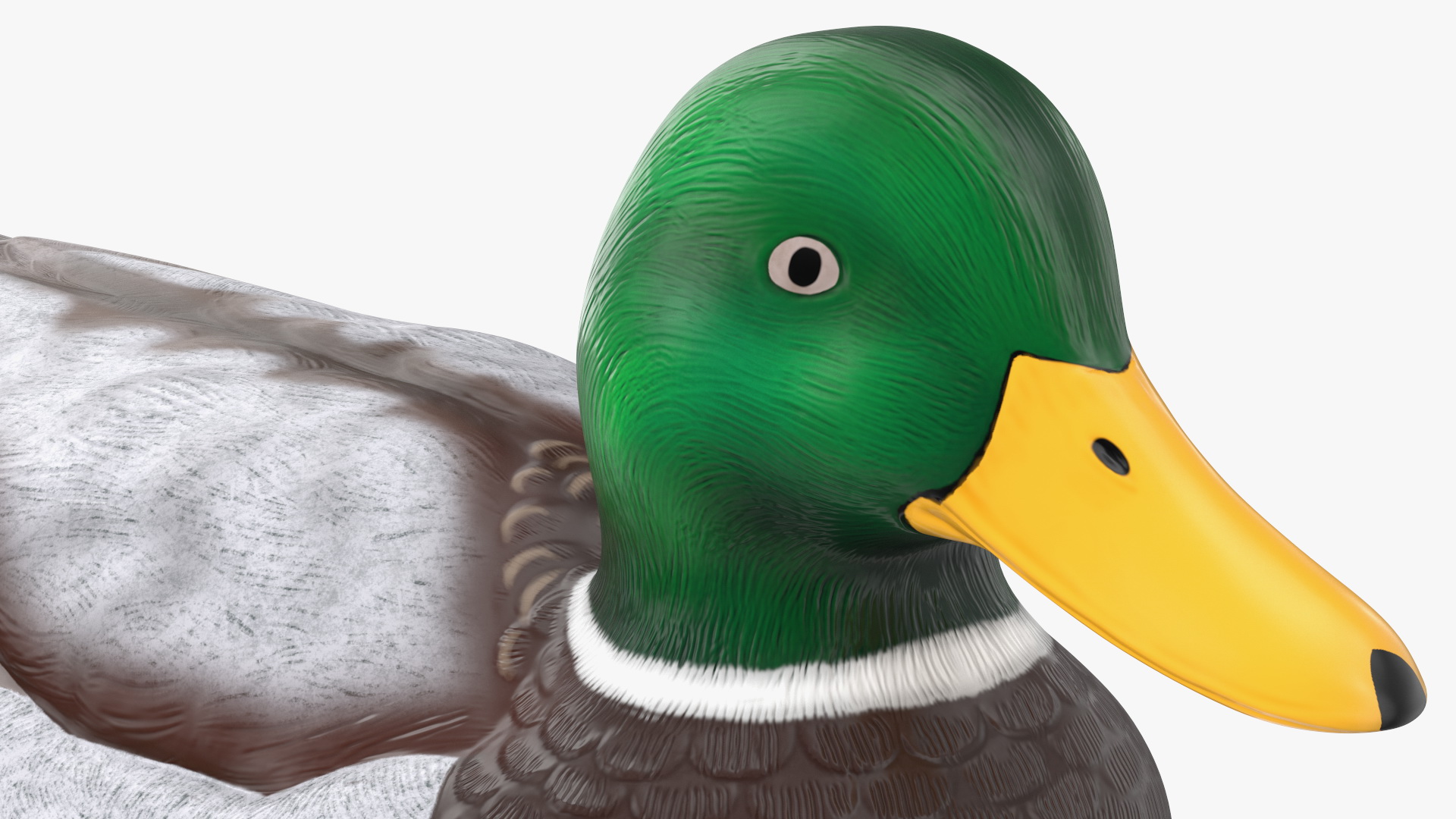 3D Duck Decoy Drake