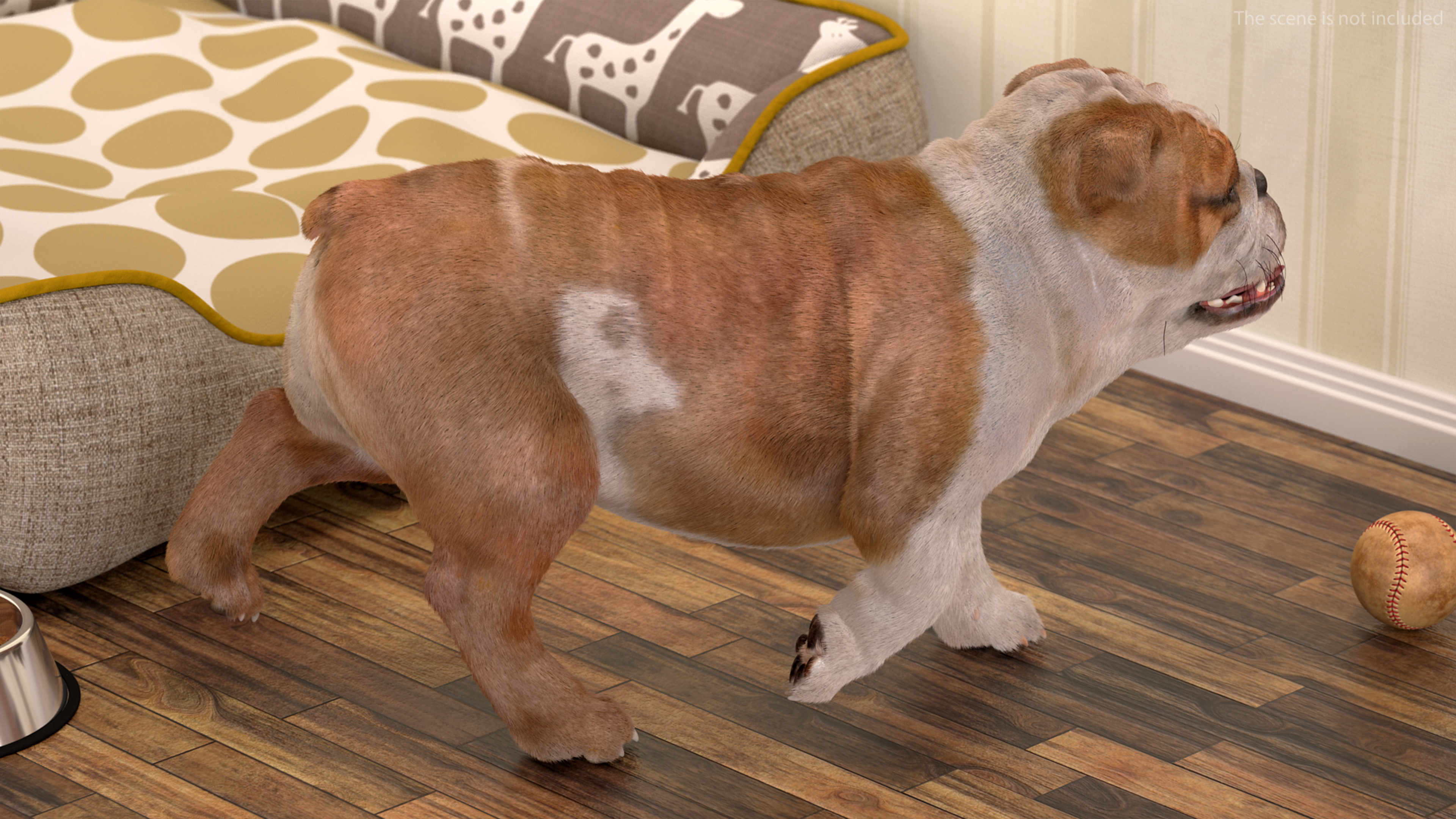 3D Bulldog Fur Rigged model