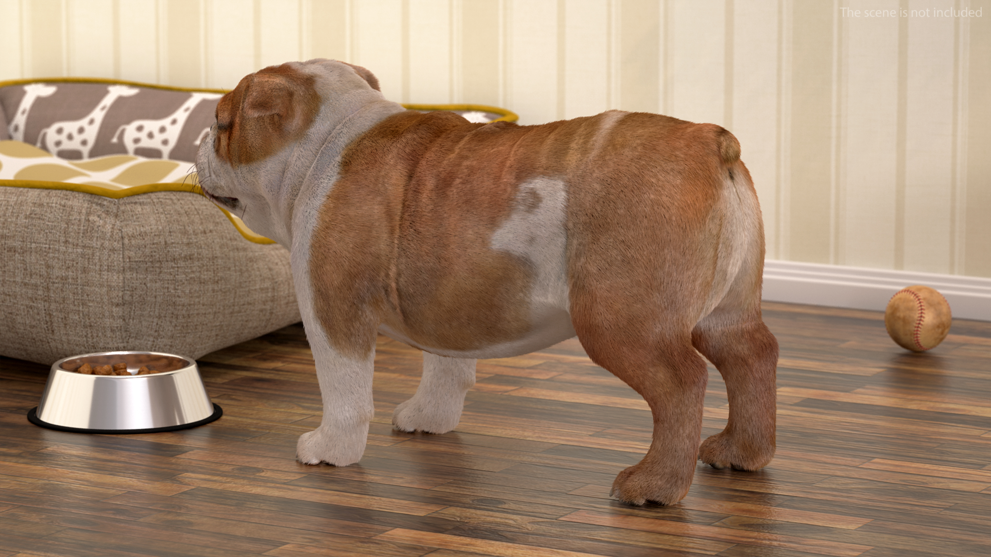 3D Bulldog Fur Rigged model