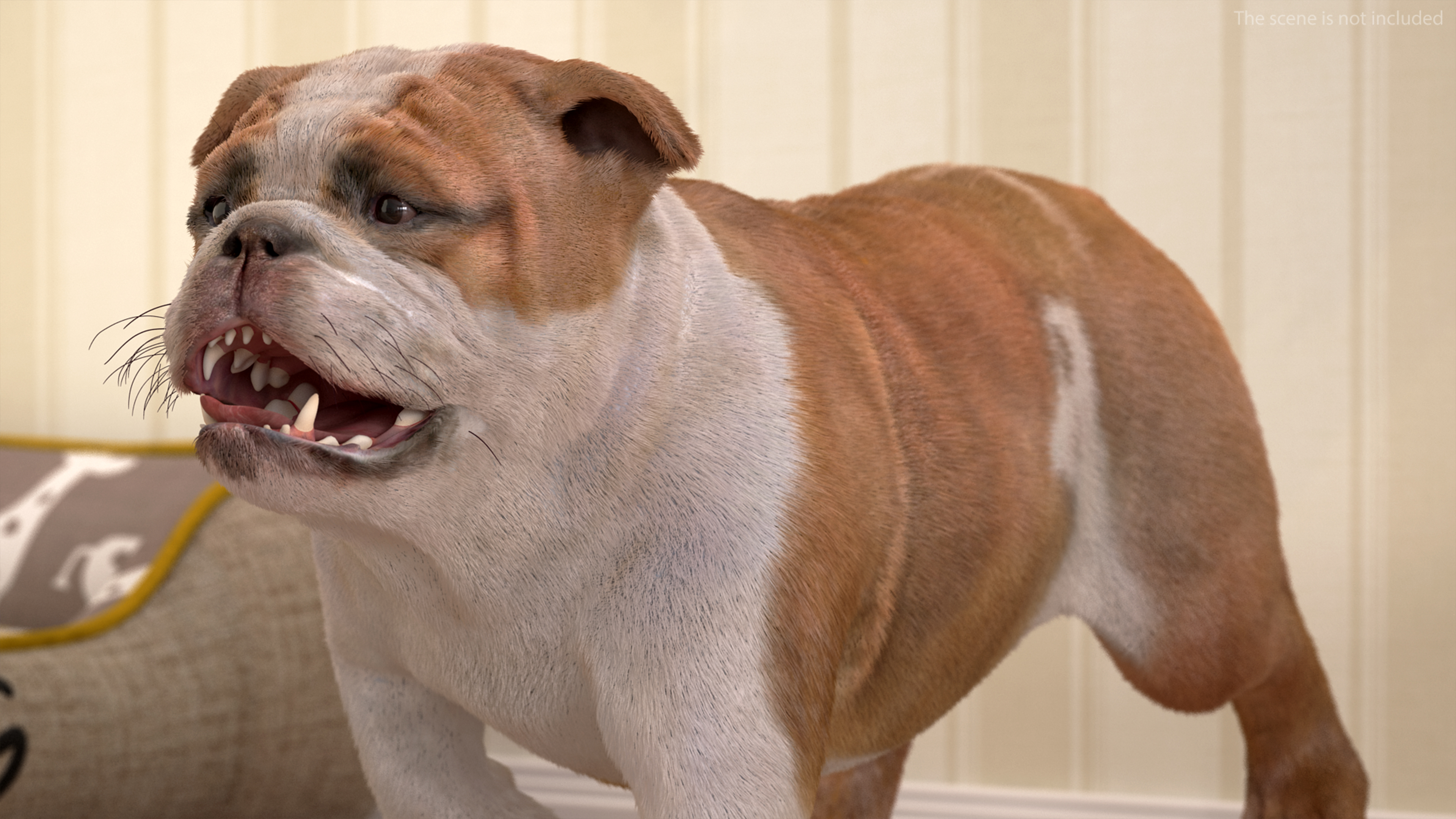 Walking Bulldog Fur 3D model