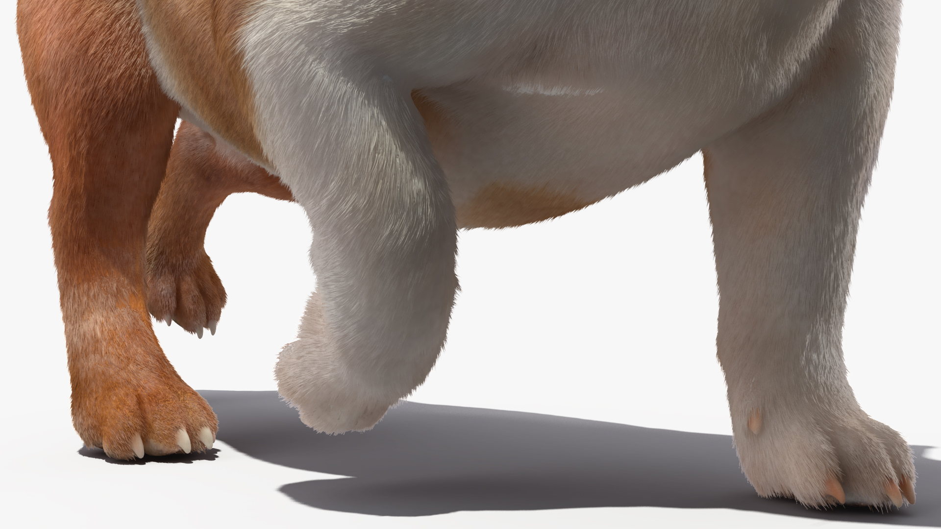 Walking Bulldog Fur 3D model