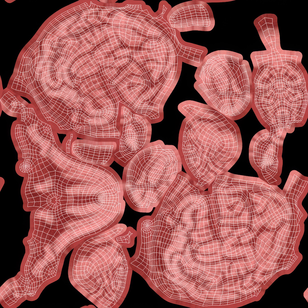 Feline Brain Anatomy Model with Metal Stand Pink, view 11