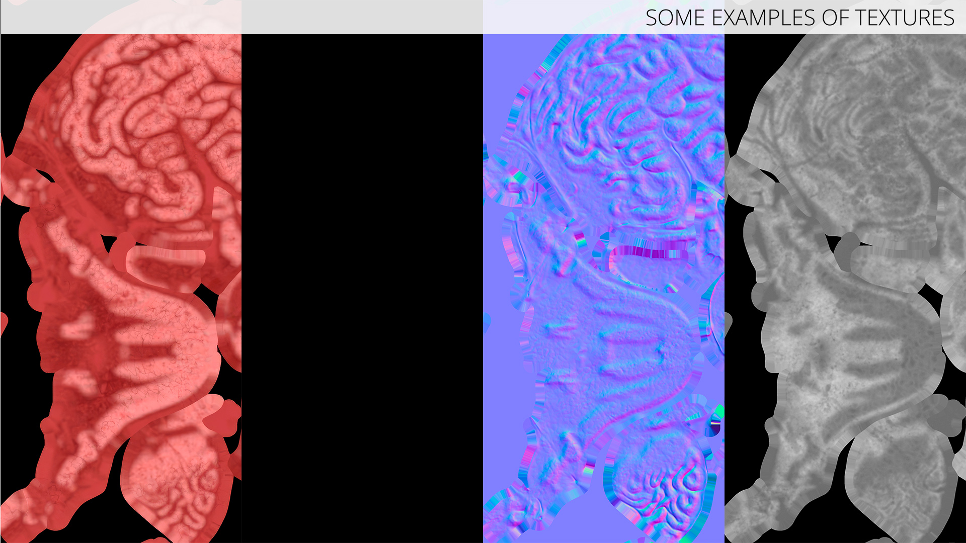 Feline Brain Anatomy Model with Metal Stand Pink, view 12
