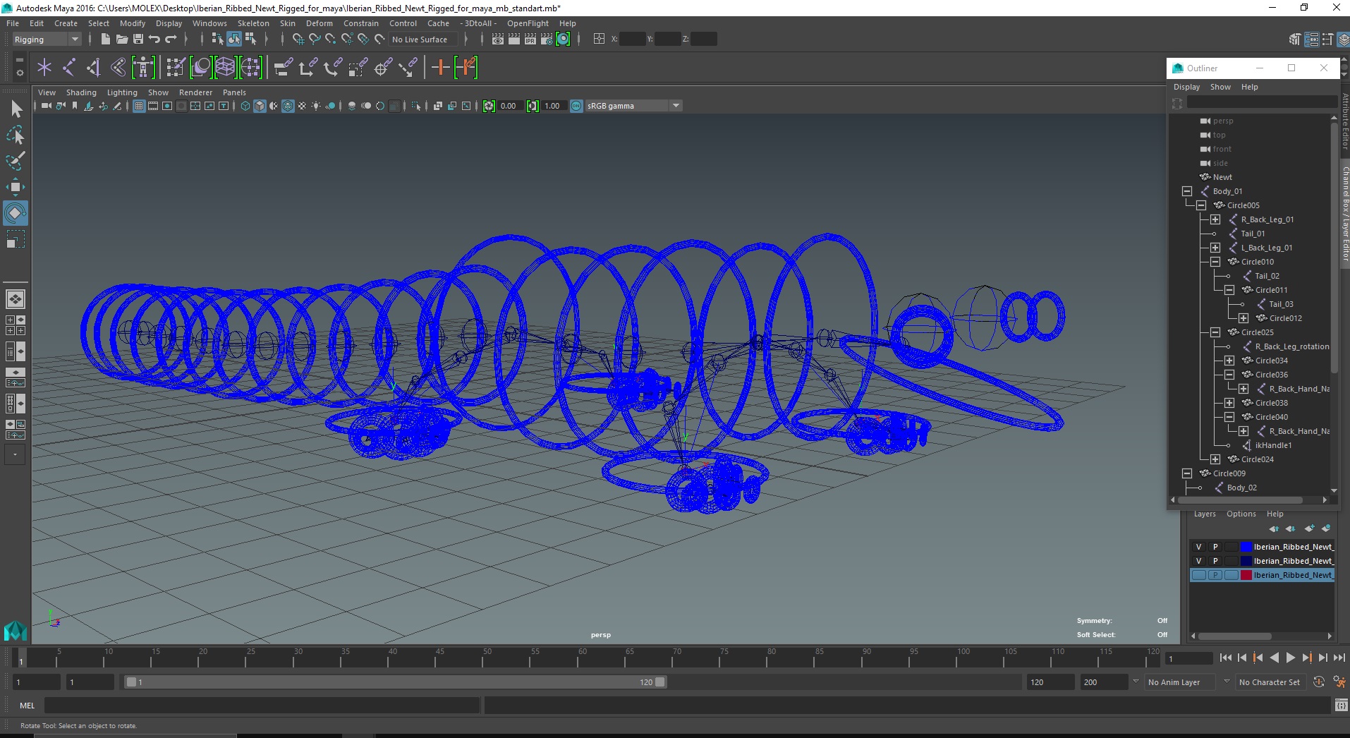 3D model Iberian Ribbed Newt Rigged for Maya