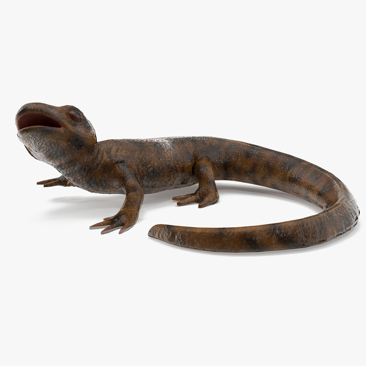 3D model Iberian Ribbed Newt Rigged for Maya
