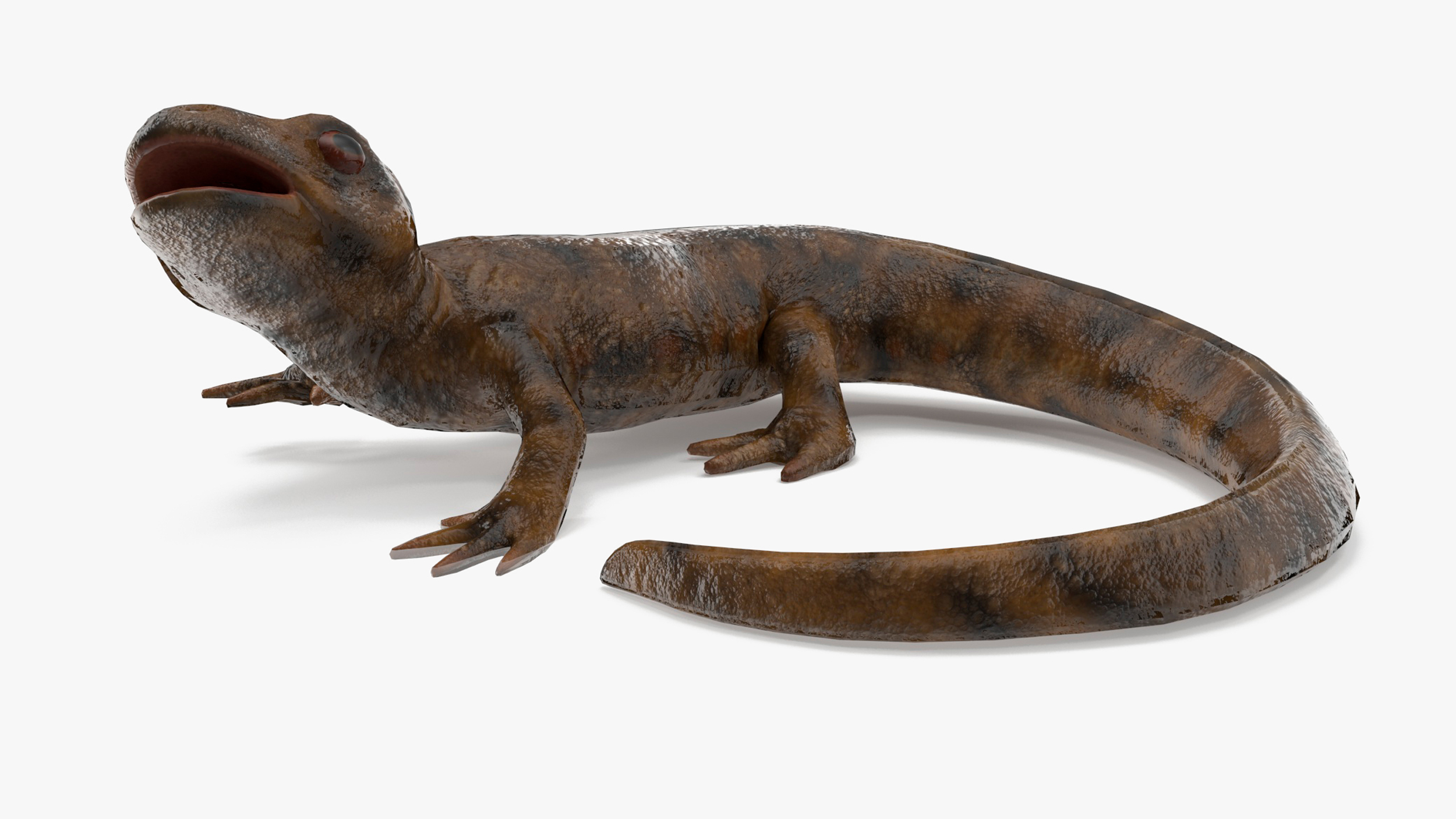 3D model Iberian Ribbed Newt Rigged for Maya