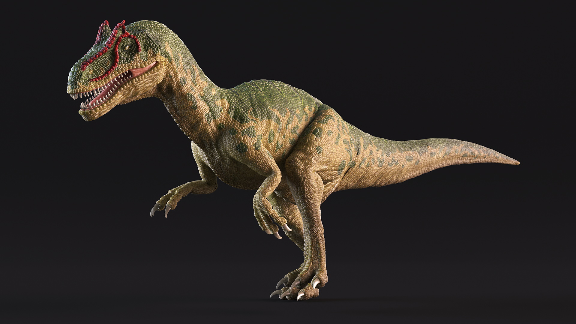 3D Allosaurus Running model