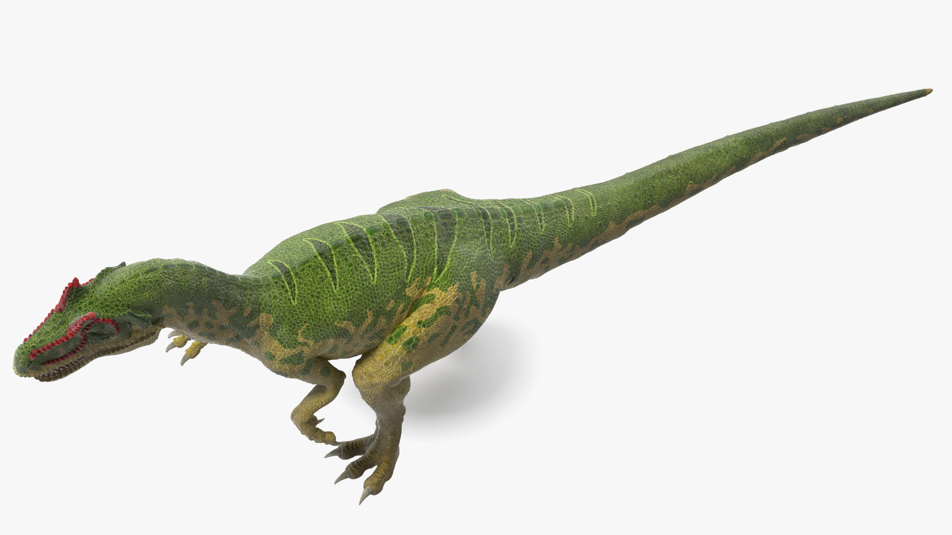 3D Allosaurus Running model