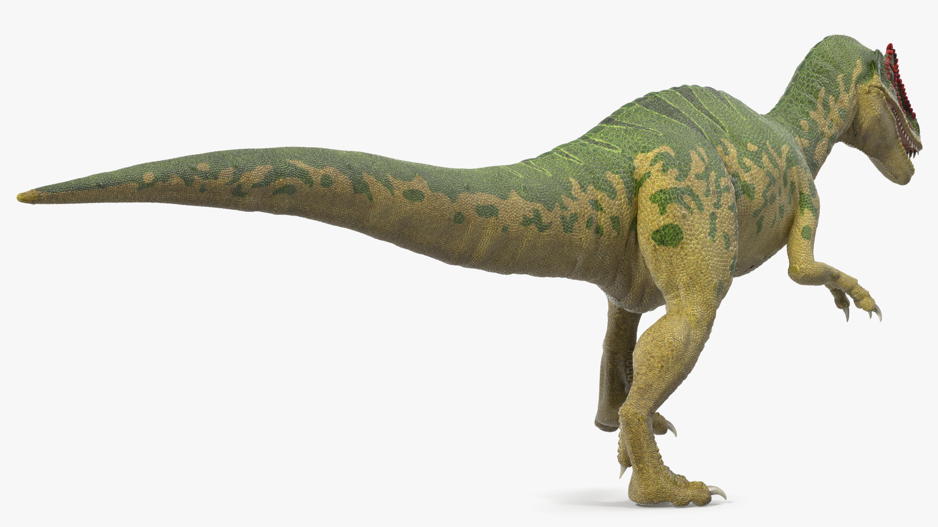 3D Allosaurus Running model
