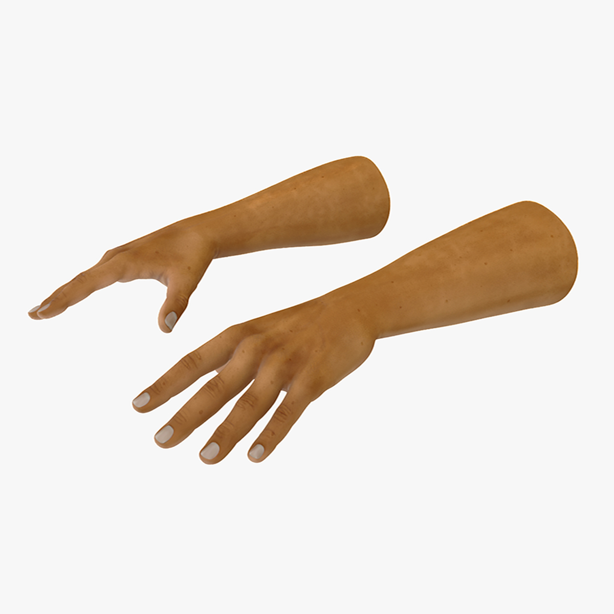 European Man Hands Rigged for Cinema 4D 3D model