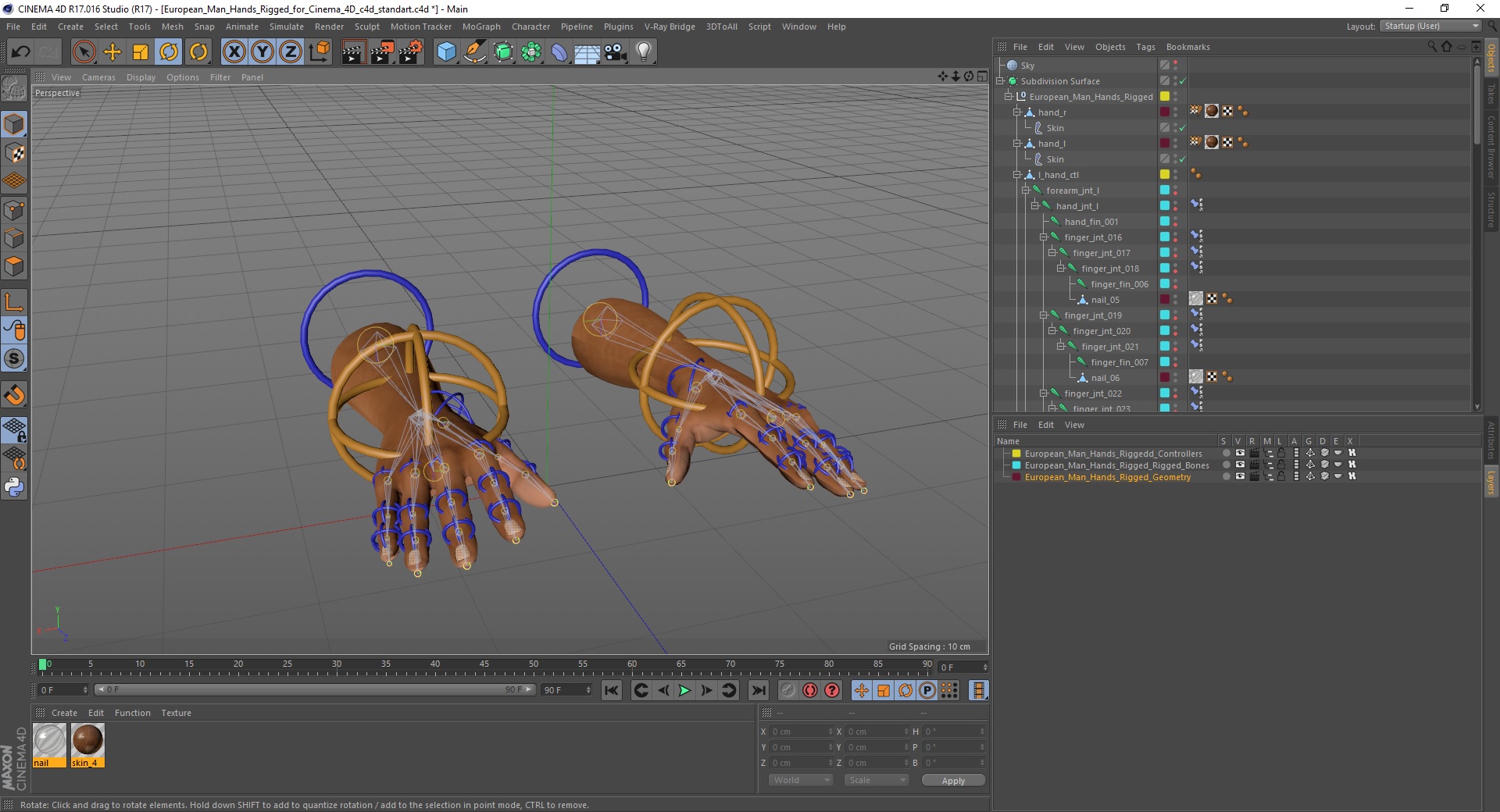 European Man Hands Rigged for Cinema 4D 3D model