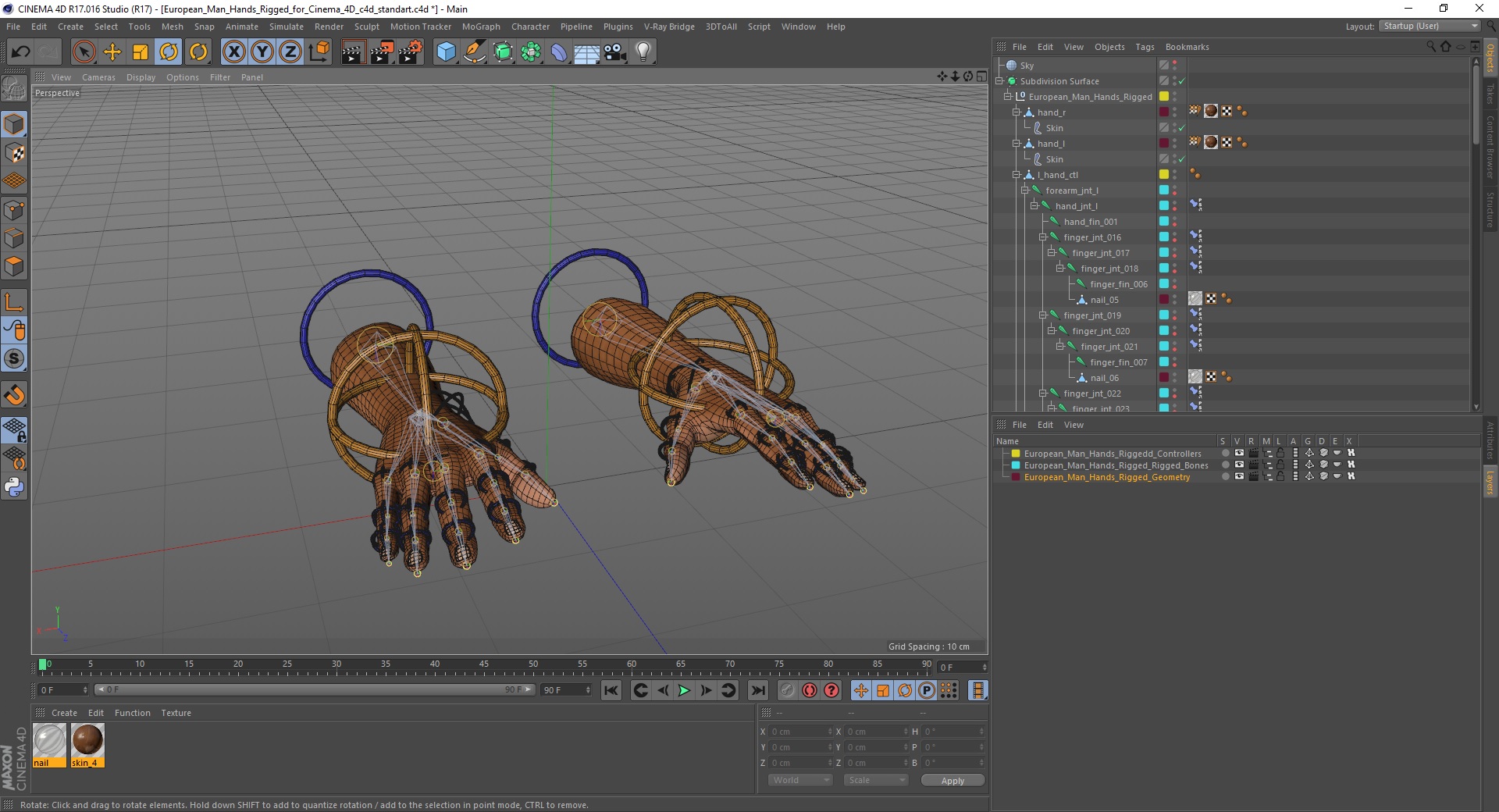 European Man Hands Rigged for Cinema 4D 3D model