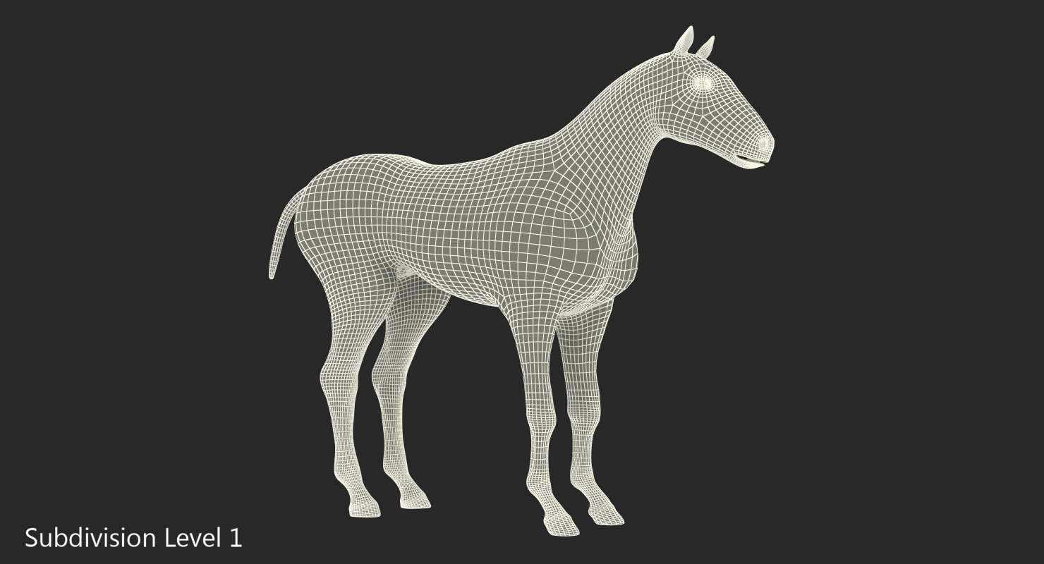 3D Horse Envelope with Skeleton Neutral Pose
