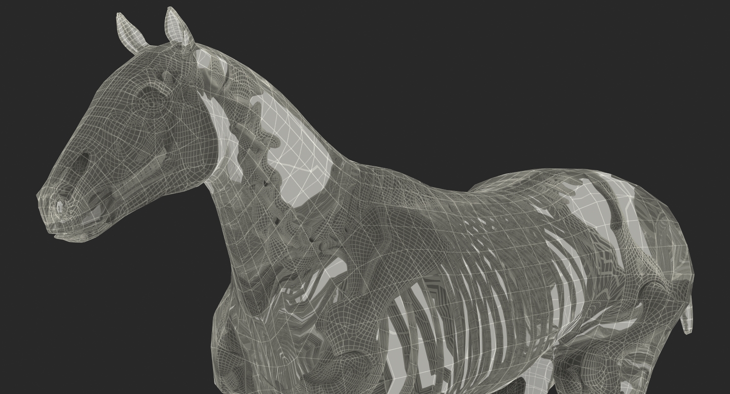 3D Horse Envelope with Skeleton Neutral Pose