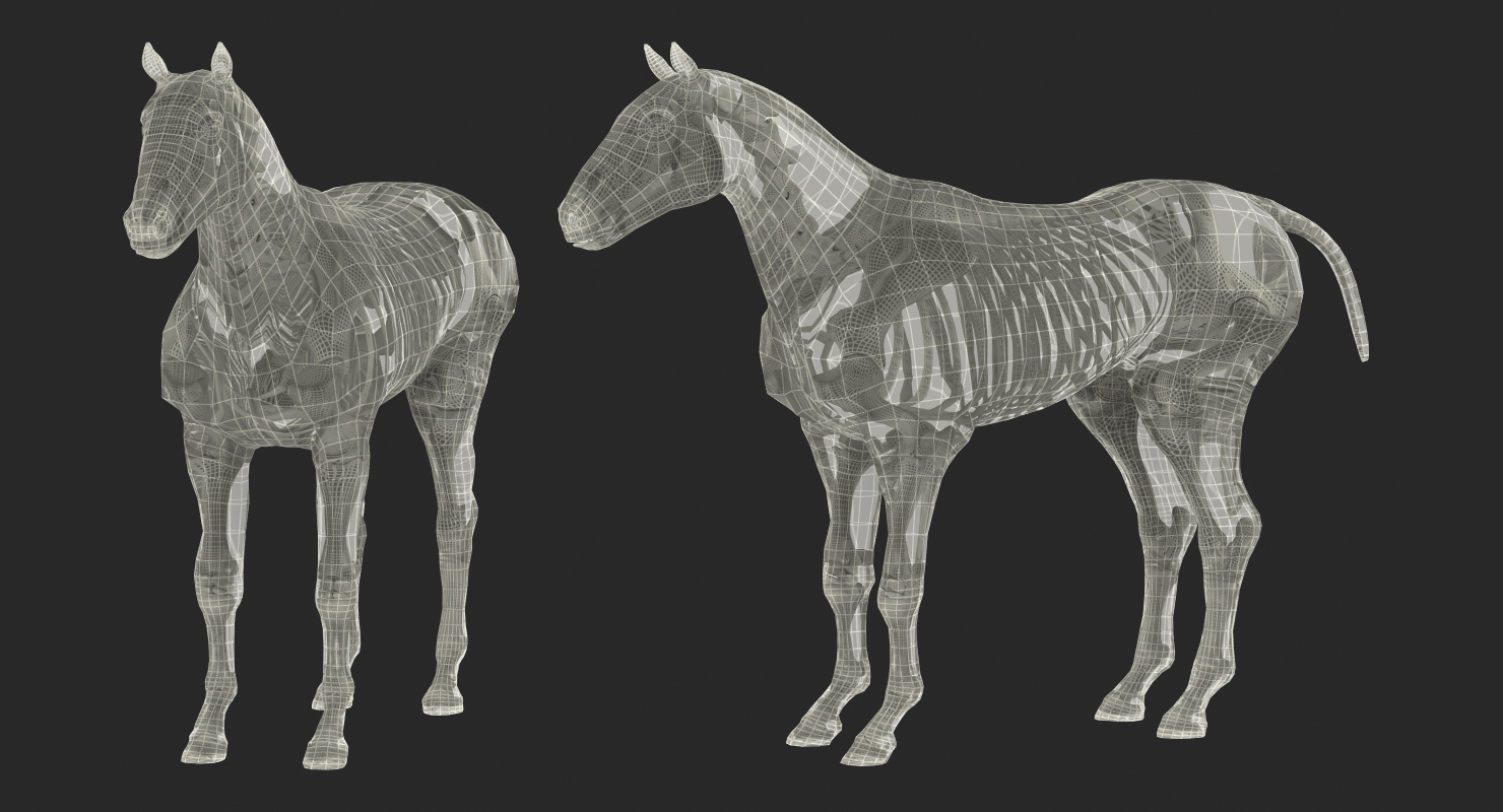 3D Horse Envelope with Skeleton Neutral Pose