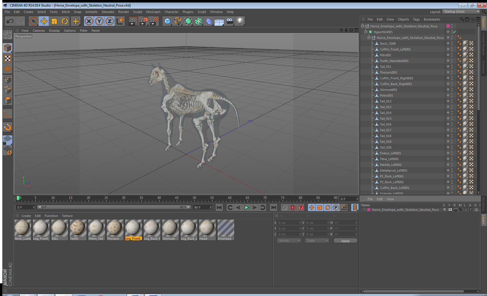 3D Horse Envelope with Skeleton Neutral Pose
