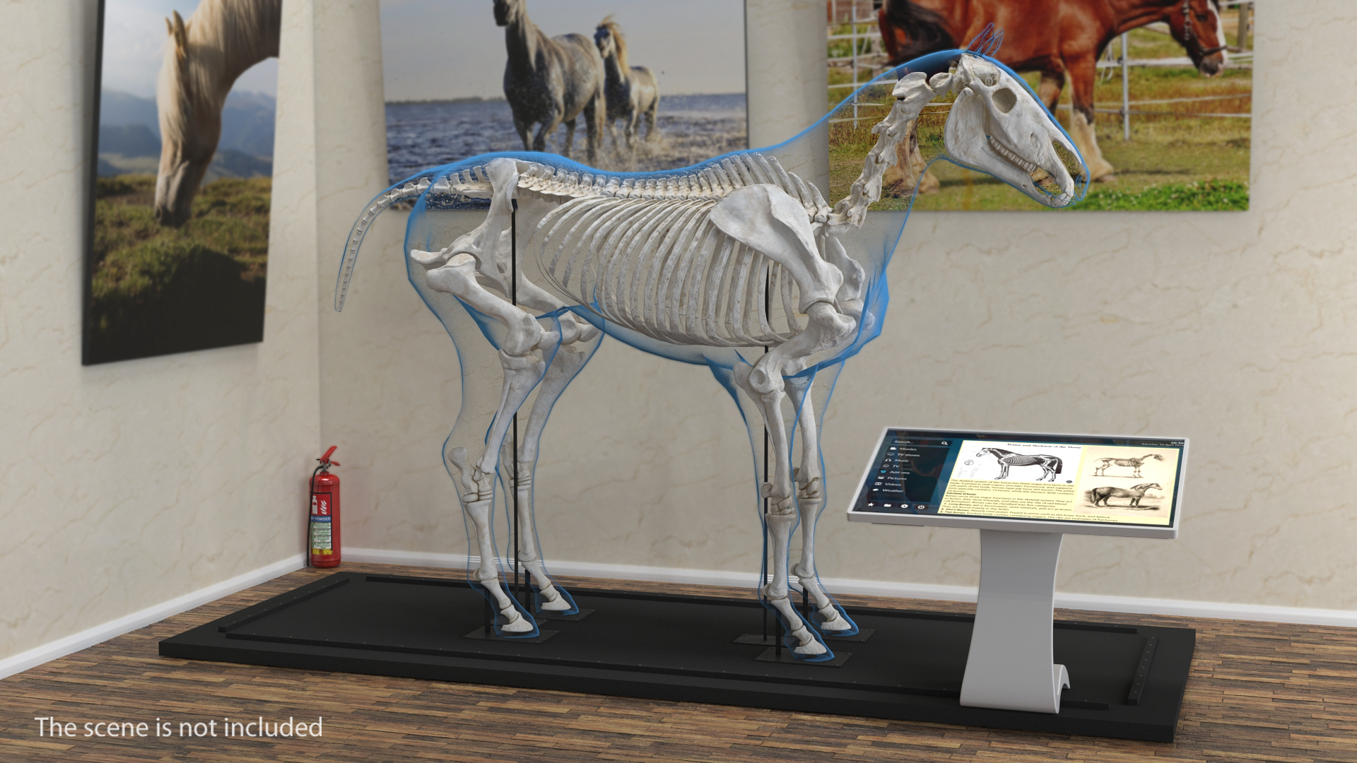 3D Horse Envelope with Skeleton Neutral Pose
