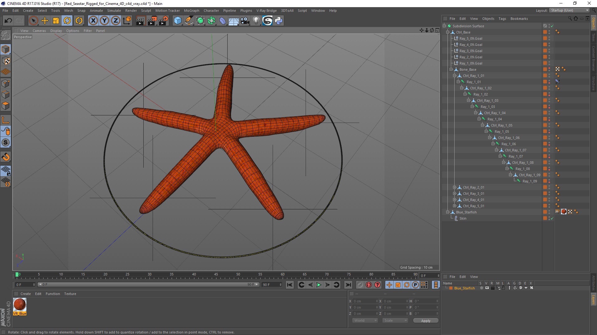 3D Red Sea Star Rigged for Cinema 4D model