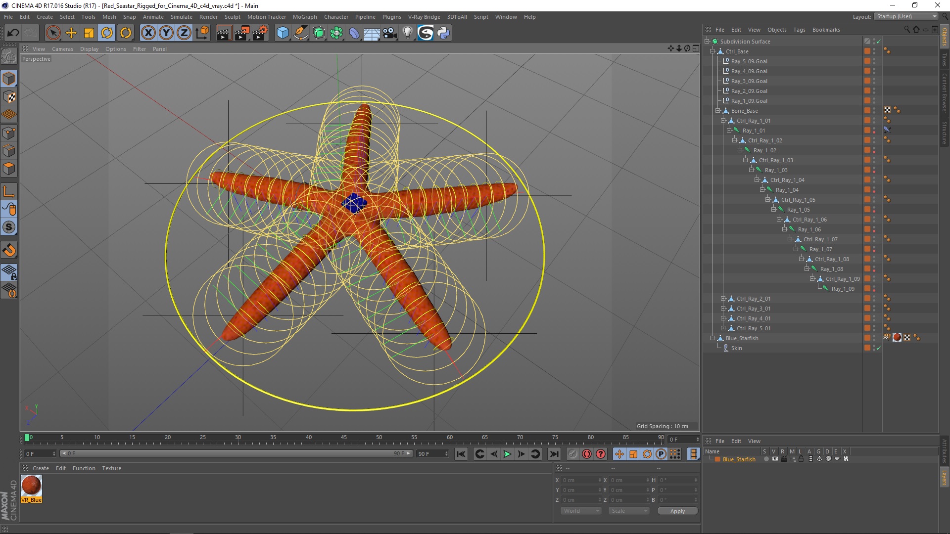 3D Red Sea Star Rigged for Cinema 4D model