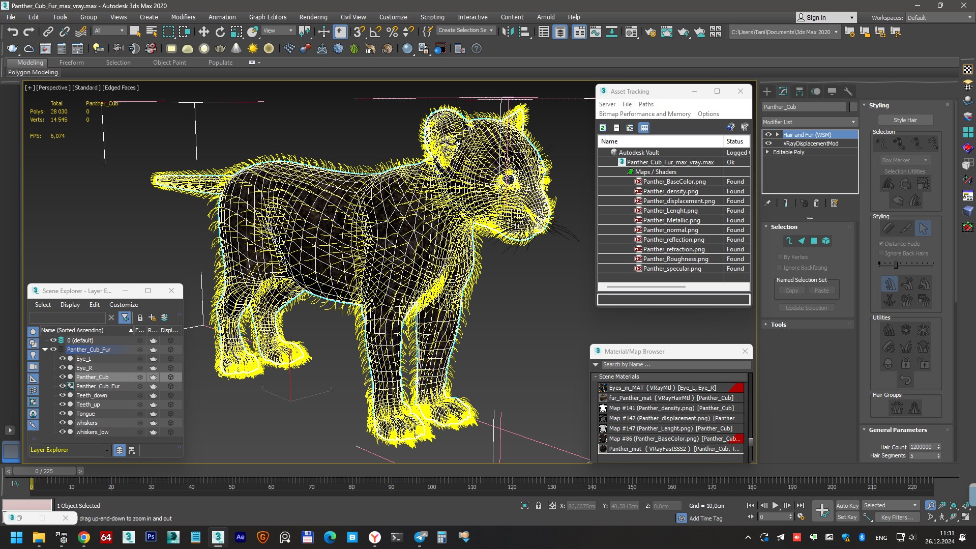 3D model Panther Cub Fur