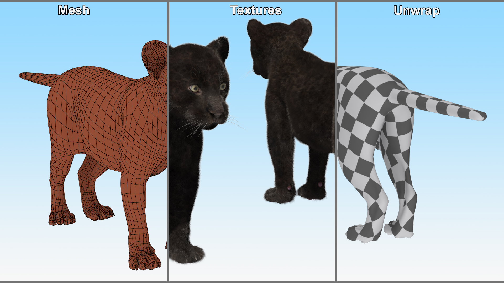 3D model Panther Cub Fur