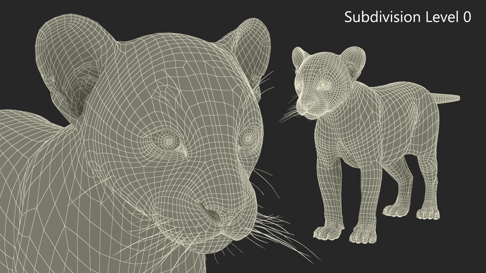 3D model Panther Cub Fur
