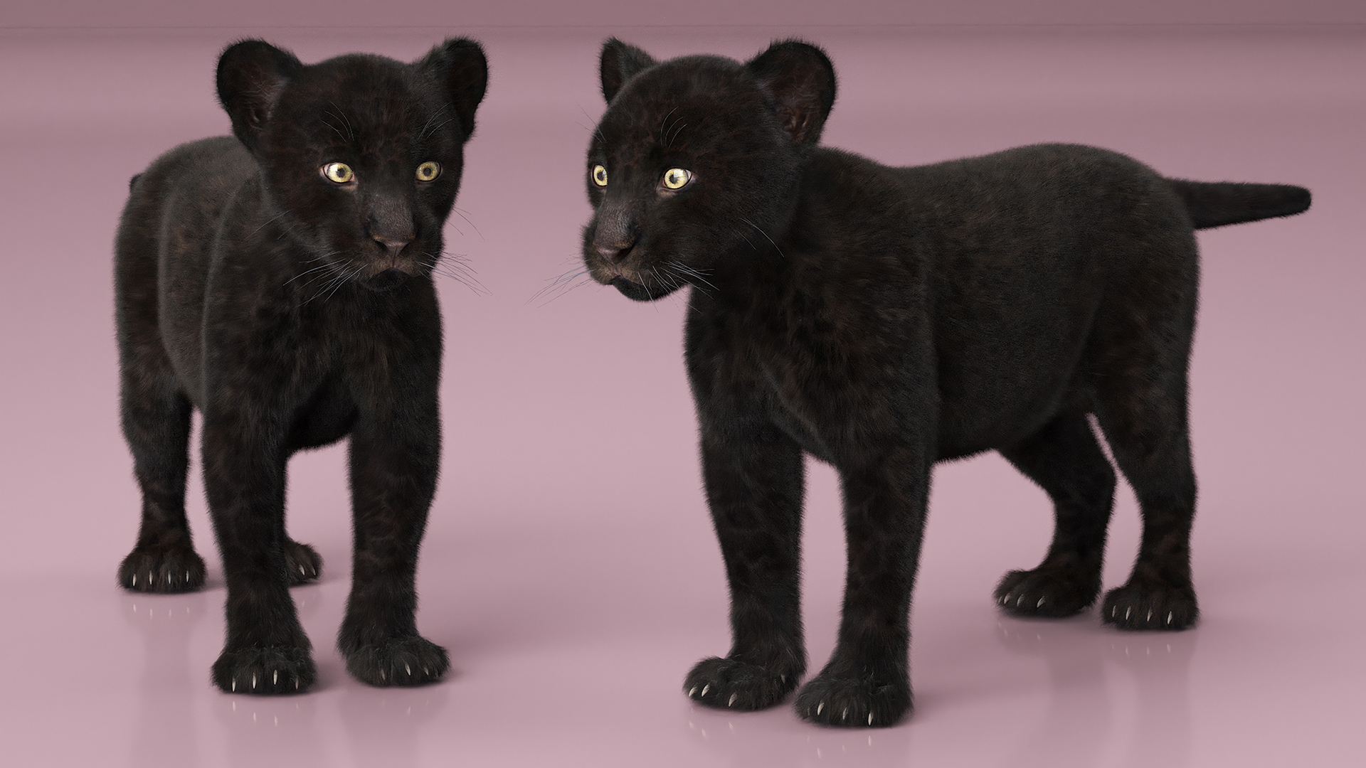 3D model Panther Cub Fur