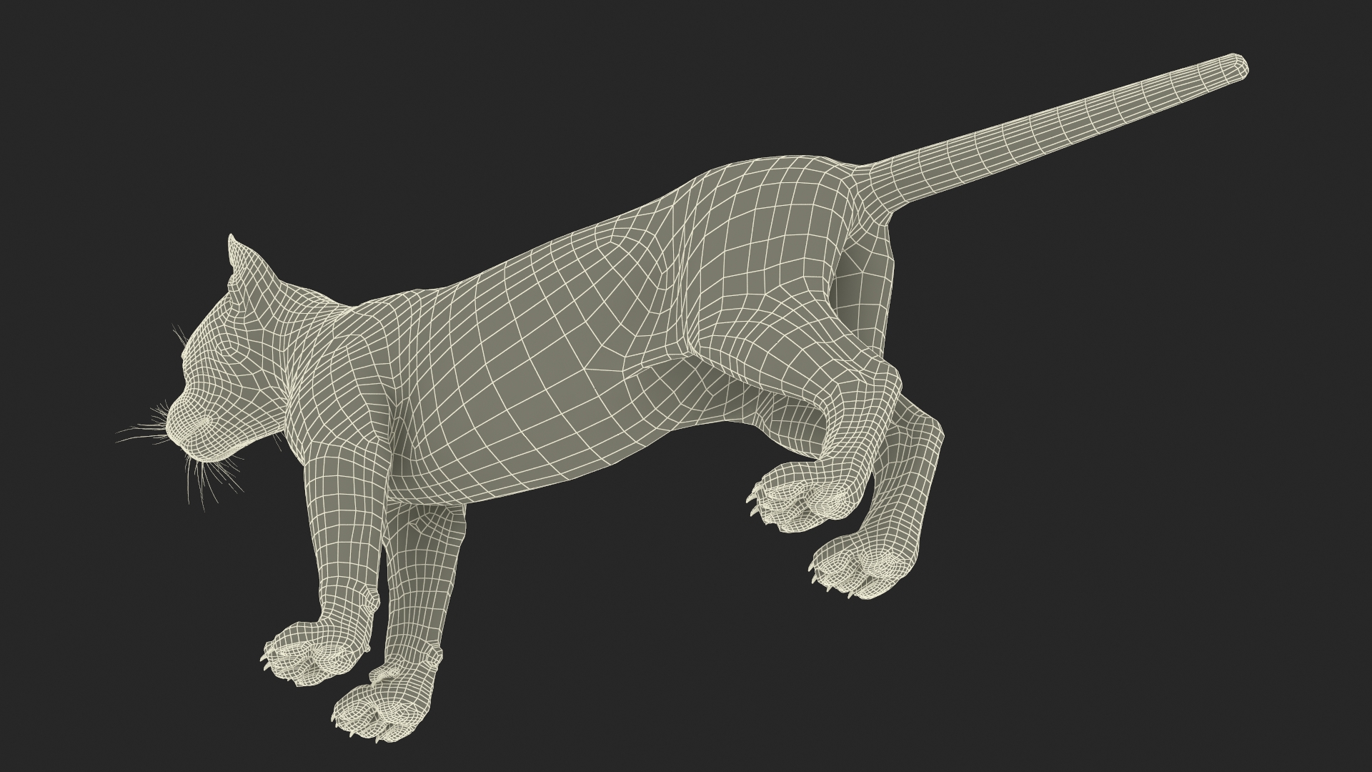 3D model Panther Cub Fur