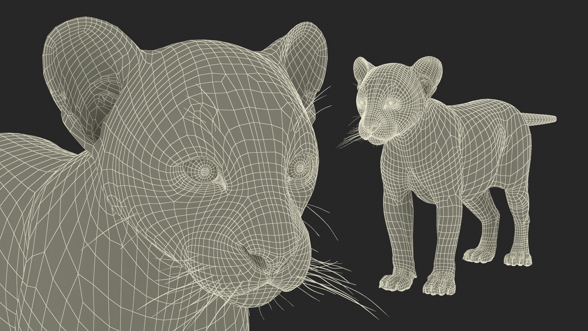 3D model Panther Cub Fur
