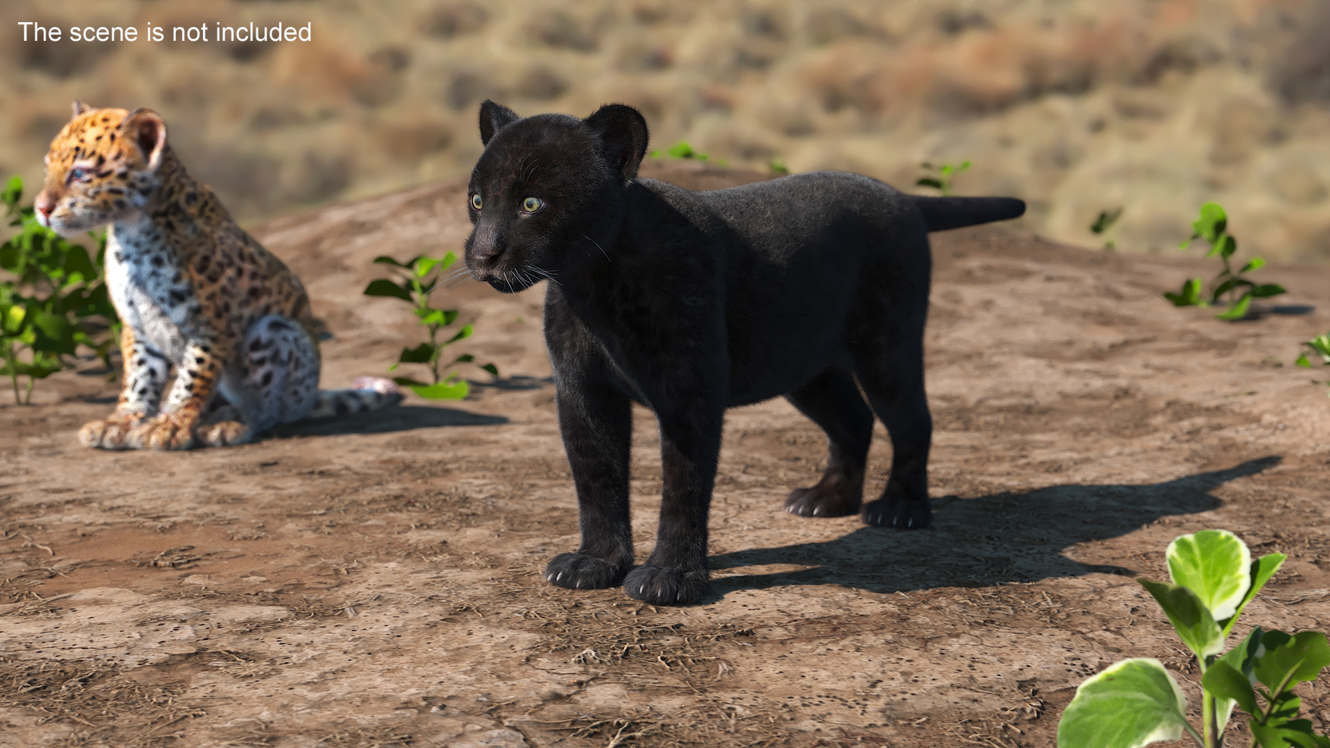 3D model Panther Cub Fur