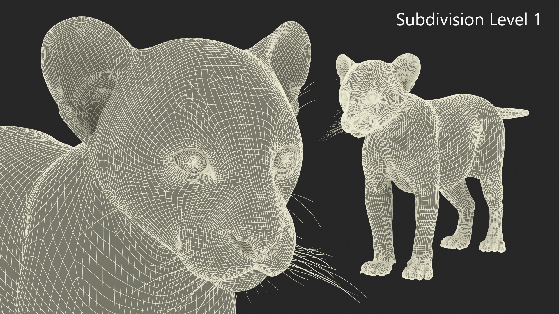 3D model Panther Cub Fur
