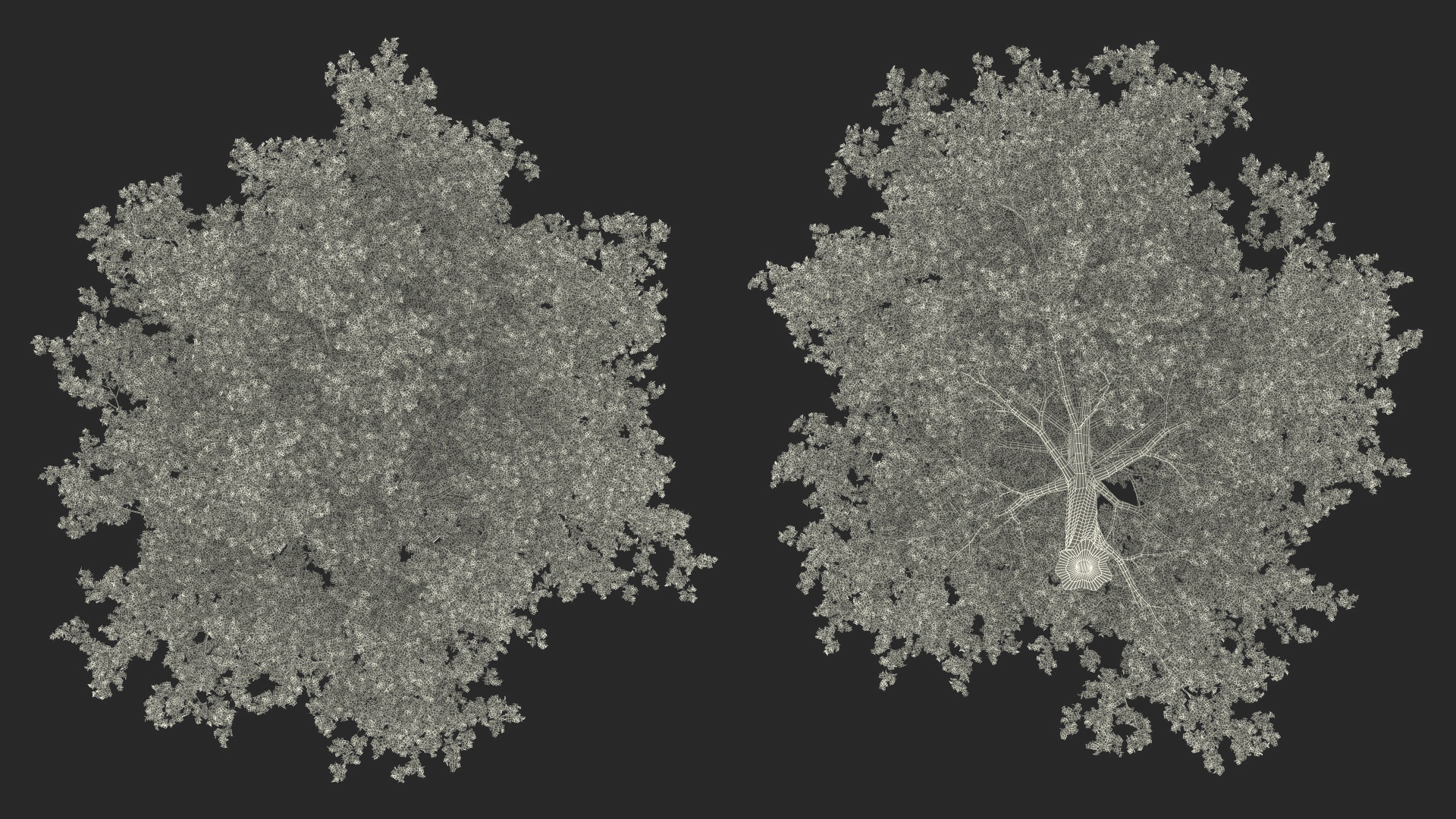 3D model Realistic Maple Tree