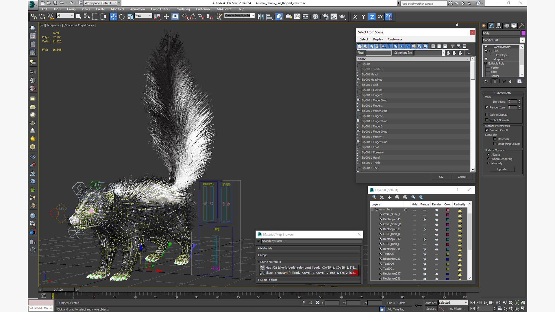 3D Animal Skunk Fur Rigged model
