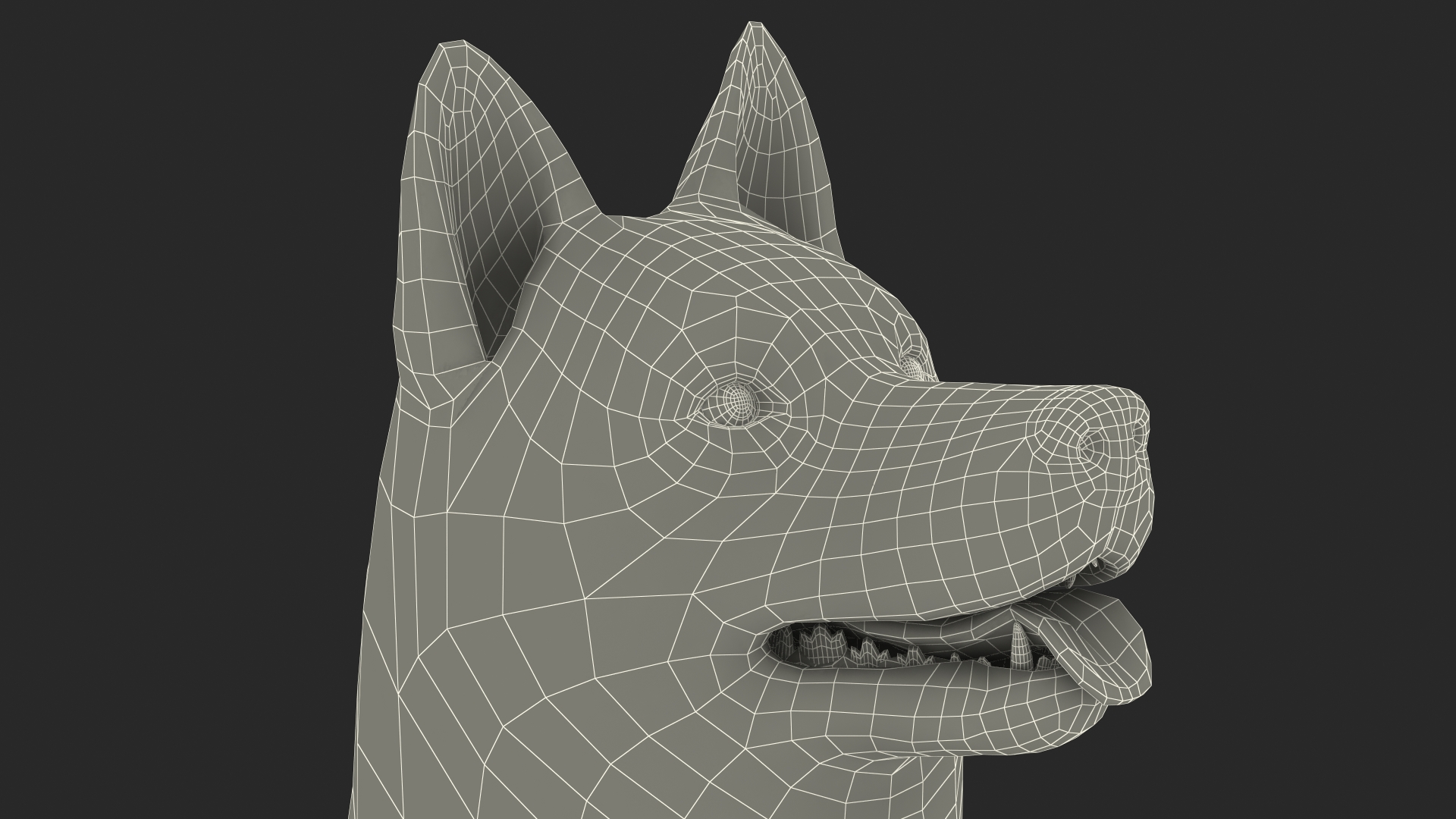 3D Siberian Husky Gray and White Rigged