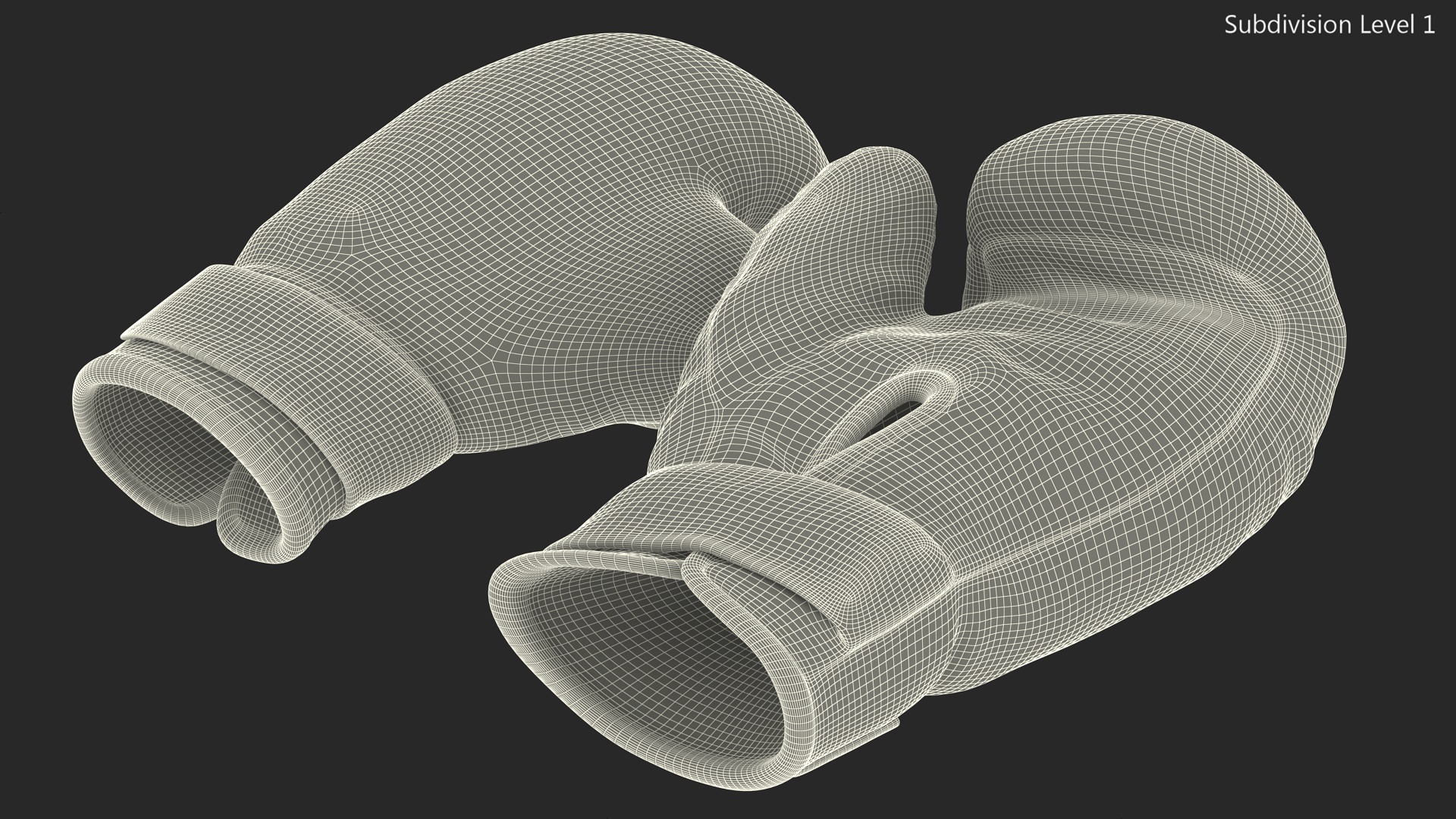 Boxing Training Gloves 3D