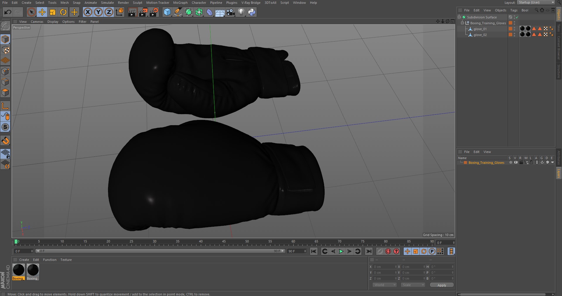 Boxing Training Gloves 3D