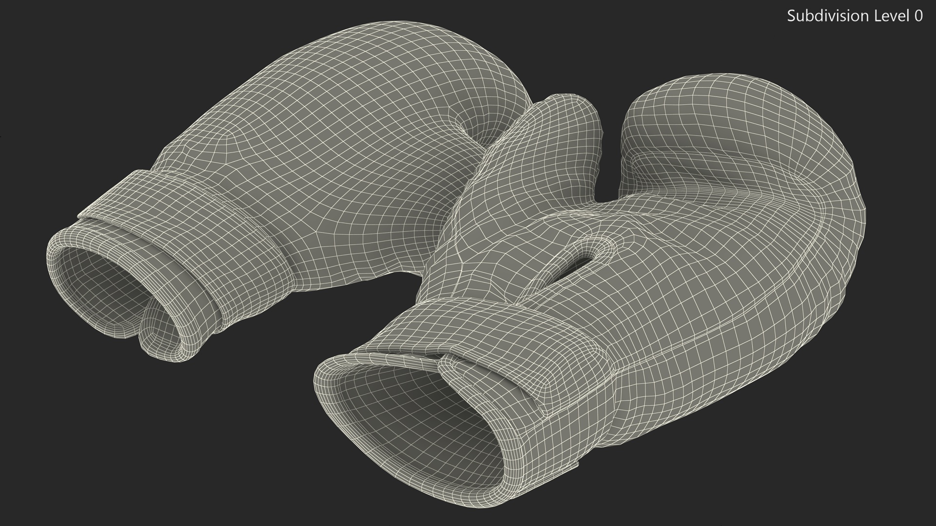 Boxing Training Gloves 3D