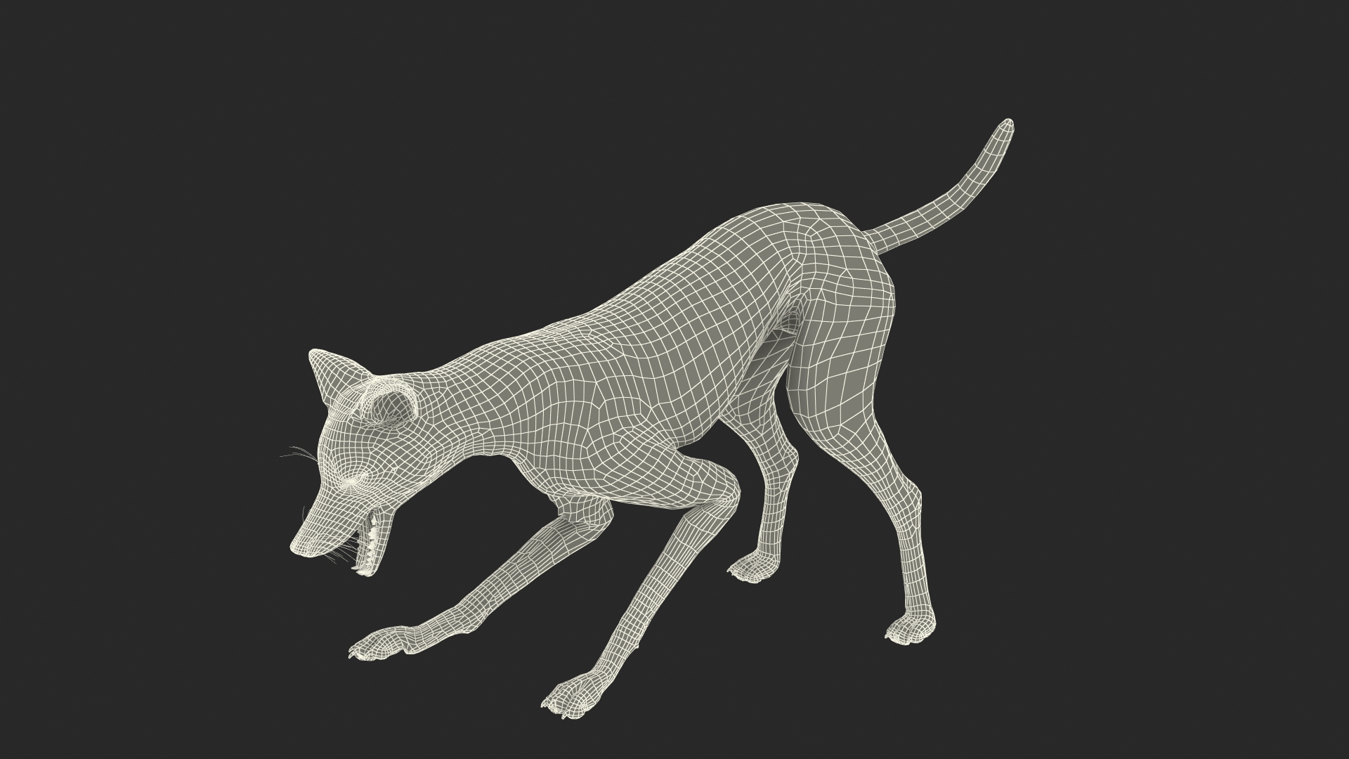 Chrysocyon Eating 3D