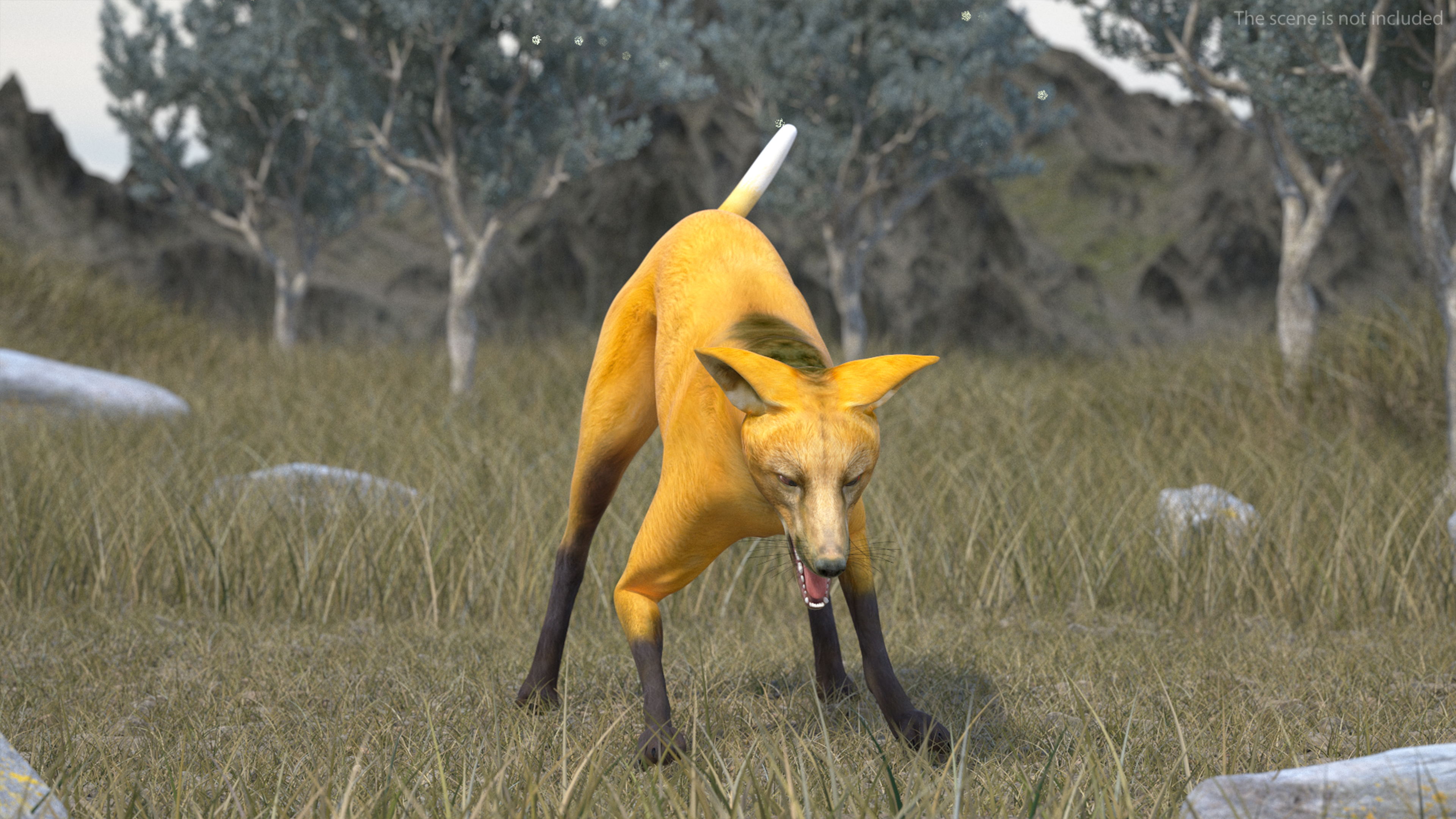Chrysocyon Eating 3D